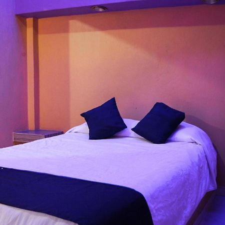 Hotel Oasis Monterrey Exteriör bild