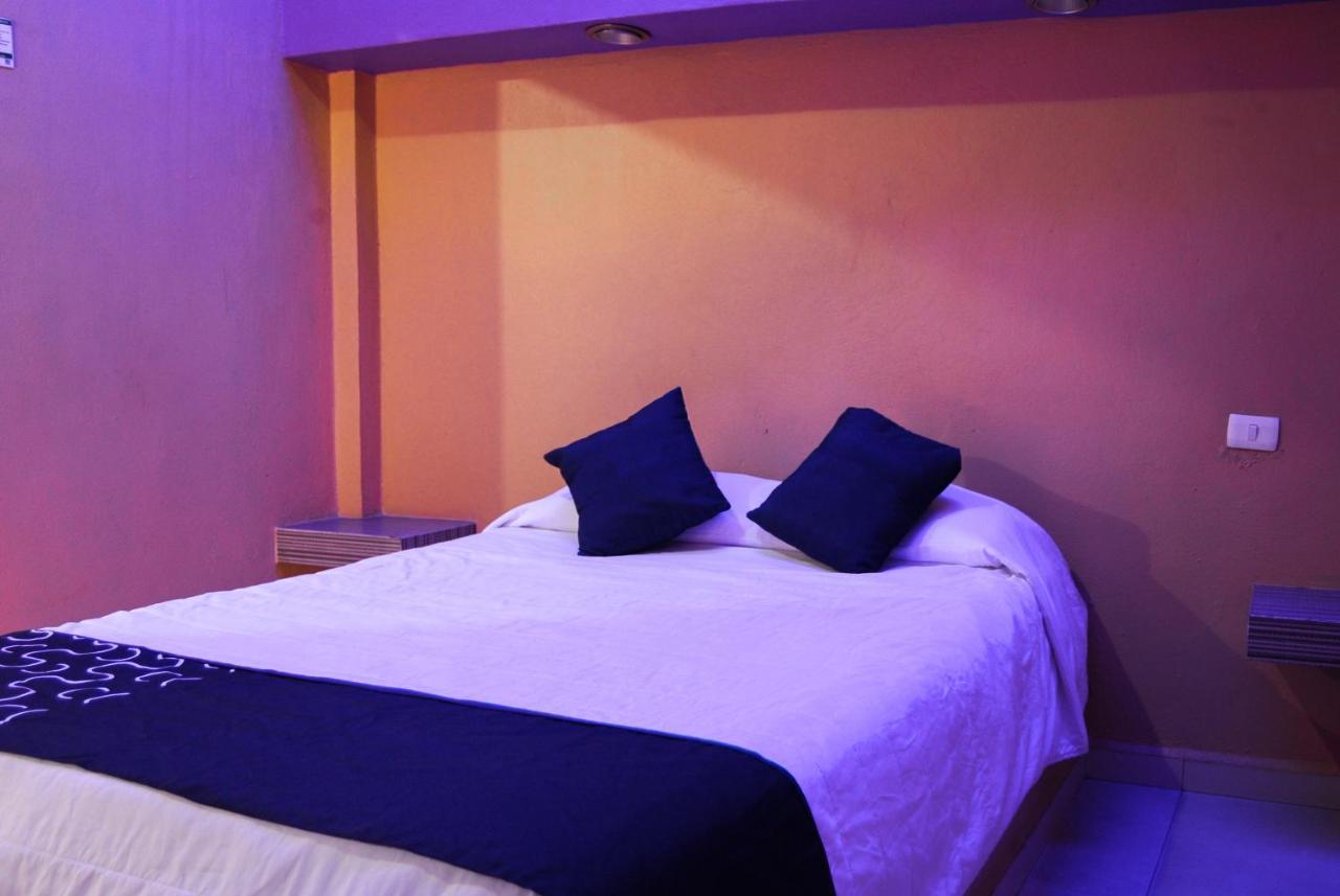 Hotel Oasis Monterrey Exteriör bild
